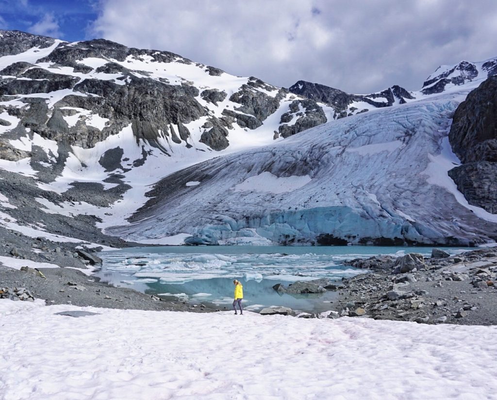 Wedgemount glacier whistler