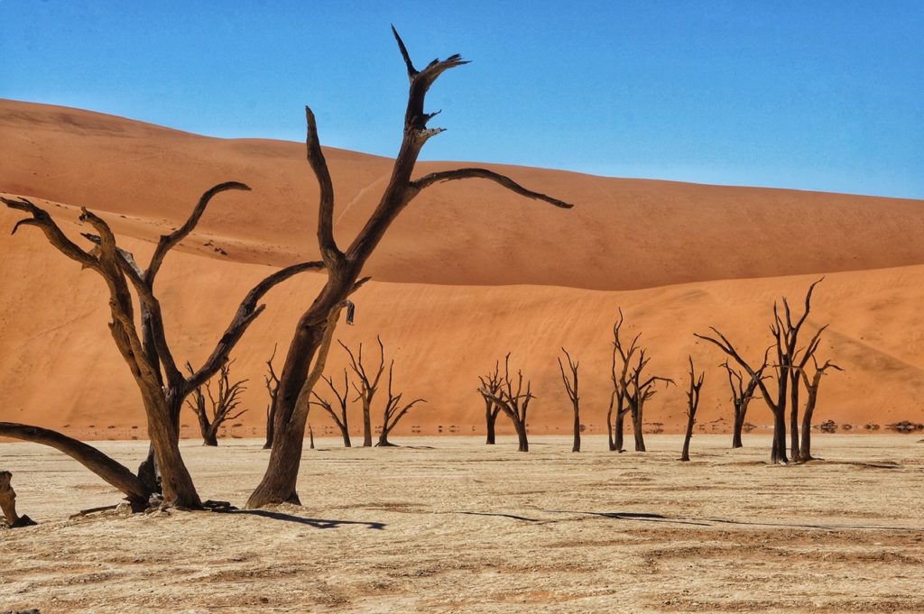 Deadvlei Namibia Southern Africa