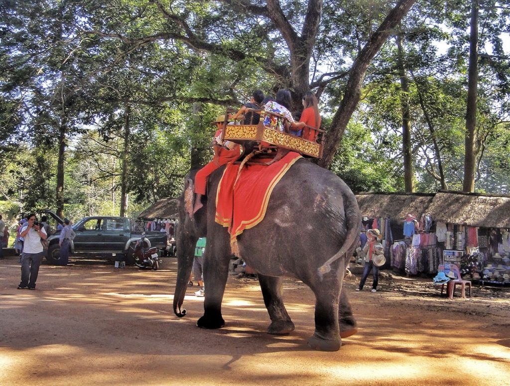 do not ride elephants in southeast asia