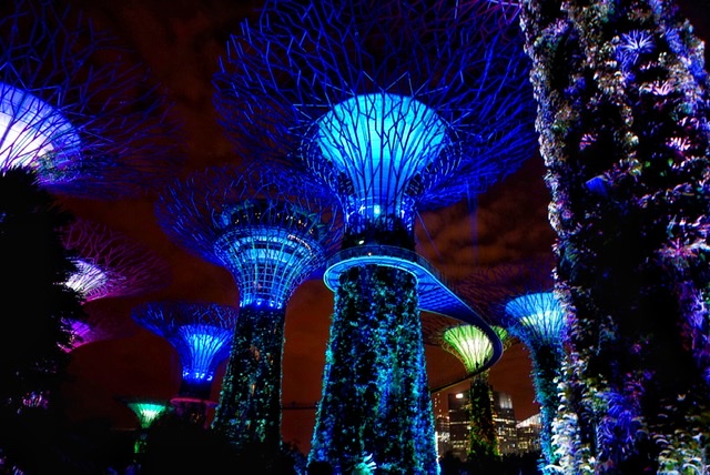 Gardens by the Bay Singapore southeast asia