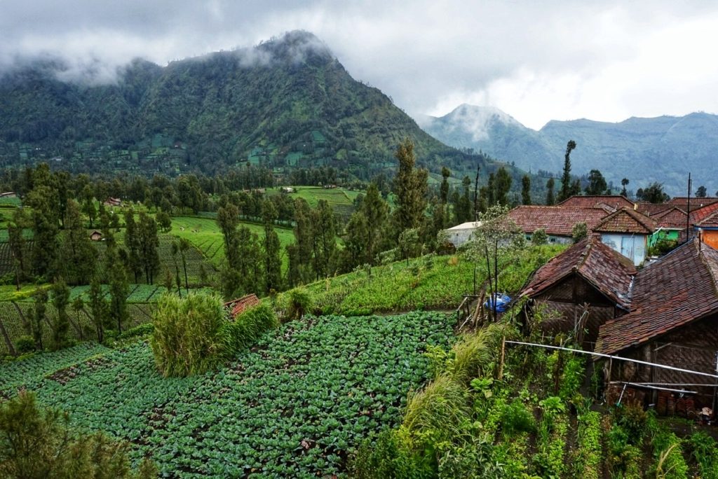 rural indonesia
